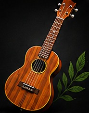 Ukulele Kursu